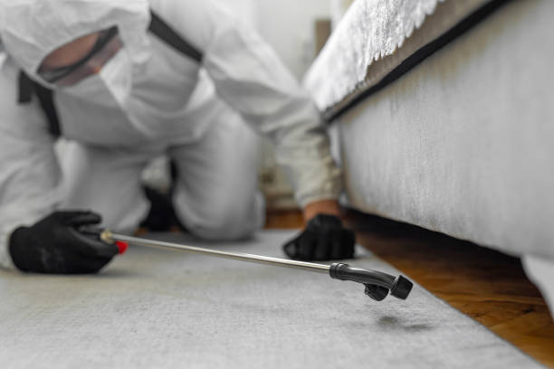 Professional Termite Control technician working in Etna, PA